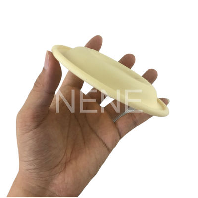 3/4 "इंच 93465 93111 DN20 Ingersoll रैंड पंप डायफ्राम Santoprene/PTFE डायफ्राम मरम्मत किट PD07P-APS-PAA PD07P-APS-PTT