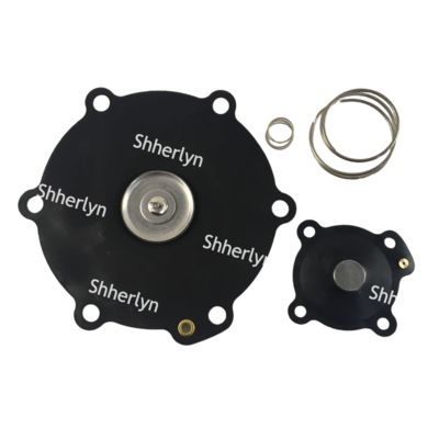 मेकेयर 2-इंच डायफ्राम मरम्मत किट DB116 DB16 VNP216 VEM216 VNP316 VITON अनुकूलन