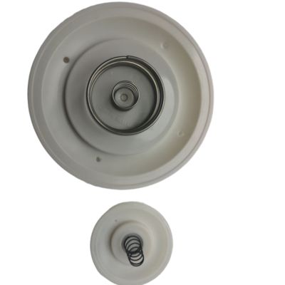 ऑटेल एम/डी50 एमडी60 2-इंच पल्स वाल्व डायफ्राम मरम्मत किट AE1450B सीलिंग रिंग टीपीईई