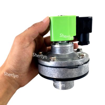 DMF-Y-25 1'' BFEC एम्बेडेड डस्ट कलेक्टर पल्स वाल्व 24V DC 220V AC