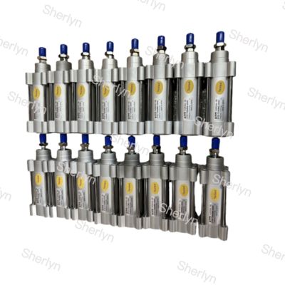 P1F सीरीज PARKER ISO15552 P1F-S032MC-0040-0000 डबल एक्टिंग एयर सिलेंडर