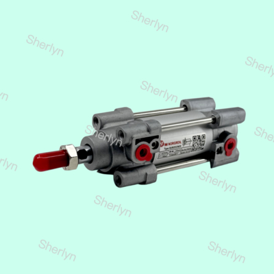 RA802032/M/20 NORGREN सिलेंडर 15552 सीरीज डबल एक्टिंग 32 मिमी सिलेंडर व्यास