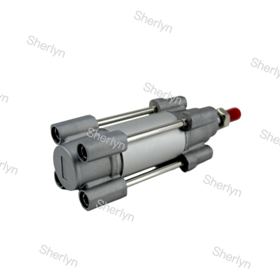 RA/802032/M/125 डबल एक्टिंग सिलेंडर 32mm व्यास 125mm स्ट्रोक