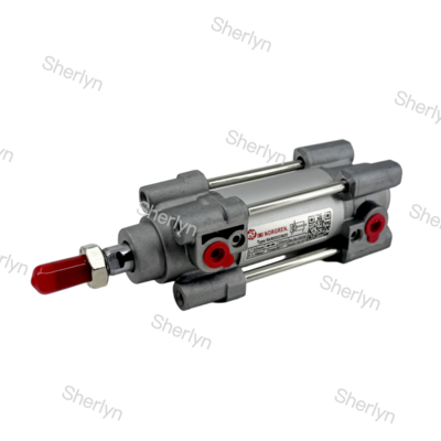 RA/802032/M/125 डबल एक्टिंग सिलेंडर 32mm व्यास 125mm स्ट्रोक