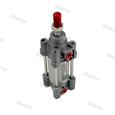 RA/802032/M/125 डबल एक्टिंग सिलेंडर 32mm व्यास 125mm स्ट्रोक