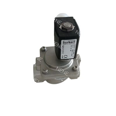 Burkert वाल्व FKM सील 00228396/00228397/00228398 NO G1 1/4