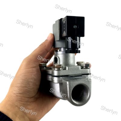 CA20T CA20T010-300 CA20T010-305 गोयेन प्यूमेटिक वाल्व पल्स वाल्व 3/4 इंच