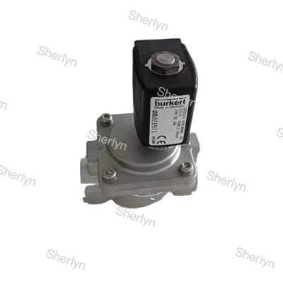 BURKERT 00228392 स्टेनलेस स्टील इलेक्ट्रॉन मैग्नेटिक वाल्व AC220V
