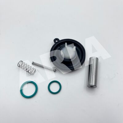 1256275 नॉर्गेन बुशजोस्ट सोलेनोइड वाल्व डायाफ्राम मरम्मत किट 8240300 DN20