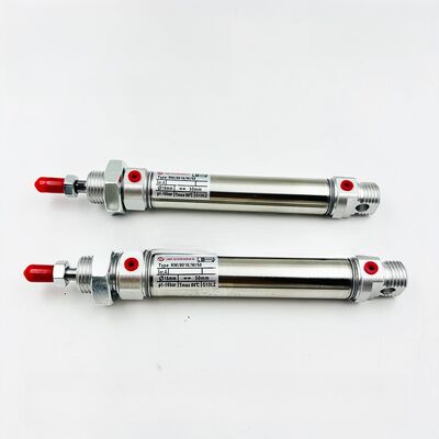 आरएम/28010/50 आरएम/28010/100 नॉरग्रेन सिंगल एक्टिंग सिलिंड्रिकल सिलेंडर