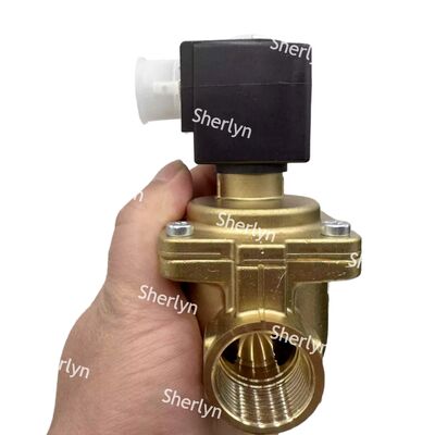 बर्कर्ट 6281 टाइप सोलेनोइड वाल्व 00221935 G3/4 AC24V