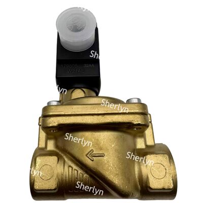 बर्कर्ट 6281 टाइप सोलेनोइड वाल्व 00221935 G3/4 AC24V