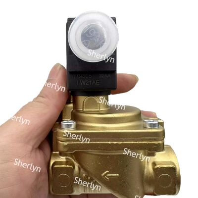 6281 बर्केर्ट इलेक्ट्रॉन मैग्नेटिक वाल्व 00221931 G3/4 2/2 सामान्य रूप से खुला AC24V