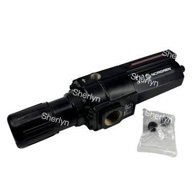 B74G-6AK-QD1-RMN नॉरग्रेन 3/4 पीटीएफ, 0.3-10 बार 5 माइक्रोन