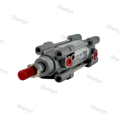 RA/802032/M/125 डबल एक्टिंग सिलेंडर 32mm व्यास 125mm स्ट्रोक
